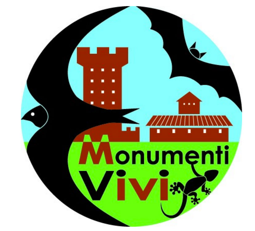 Festival dei rondoni