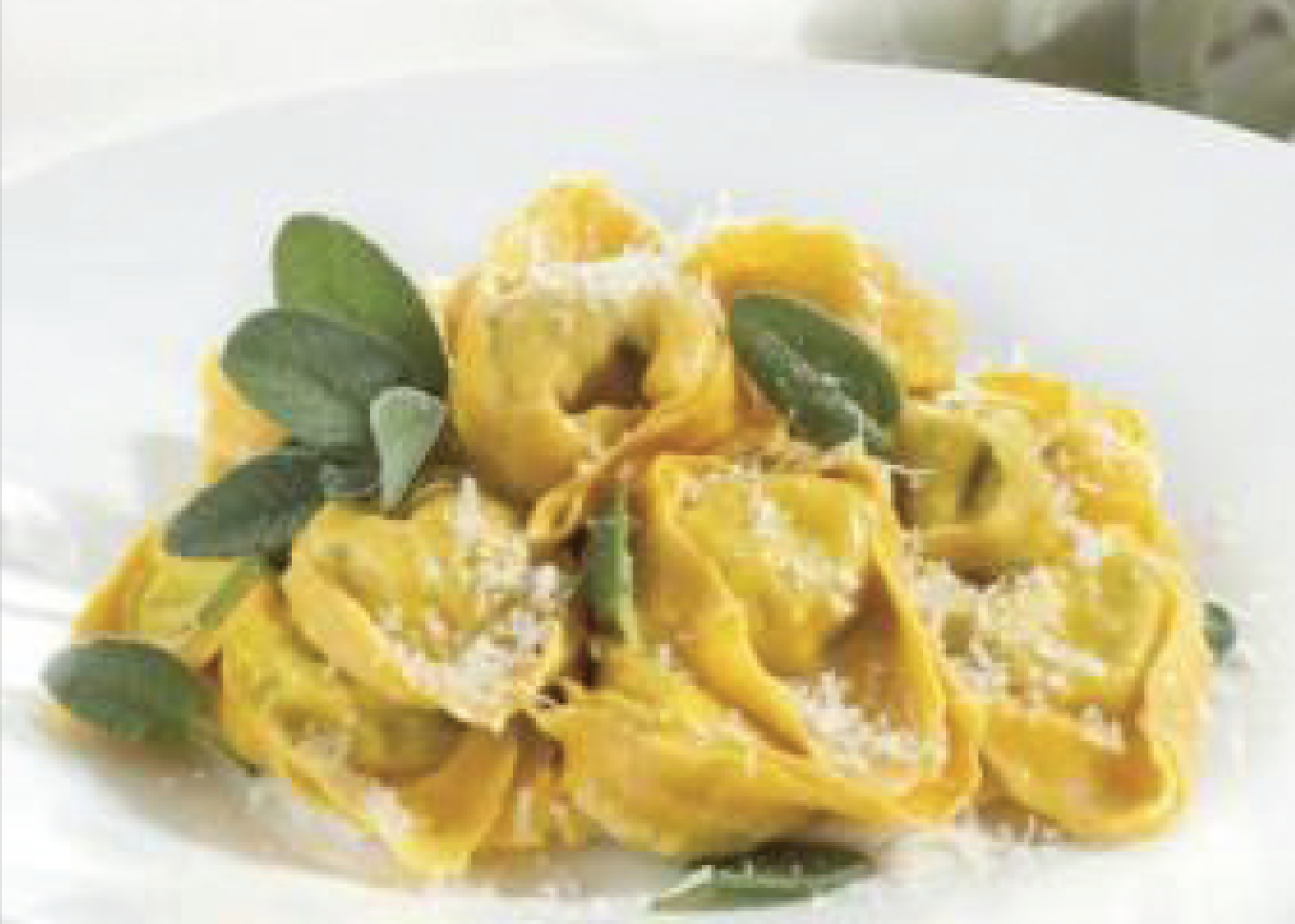 Sagra del Tortellone a Ozzano