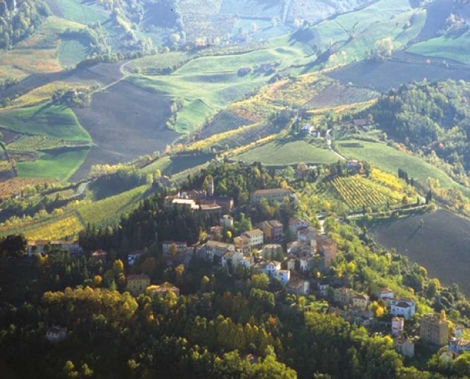 Feste di San Martino