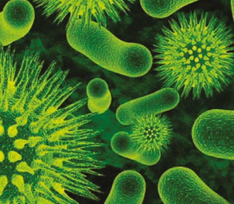 Infezioni batteriche in forte aumento tra i giovani Top Quadrifoglio