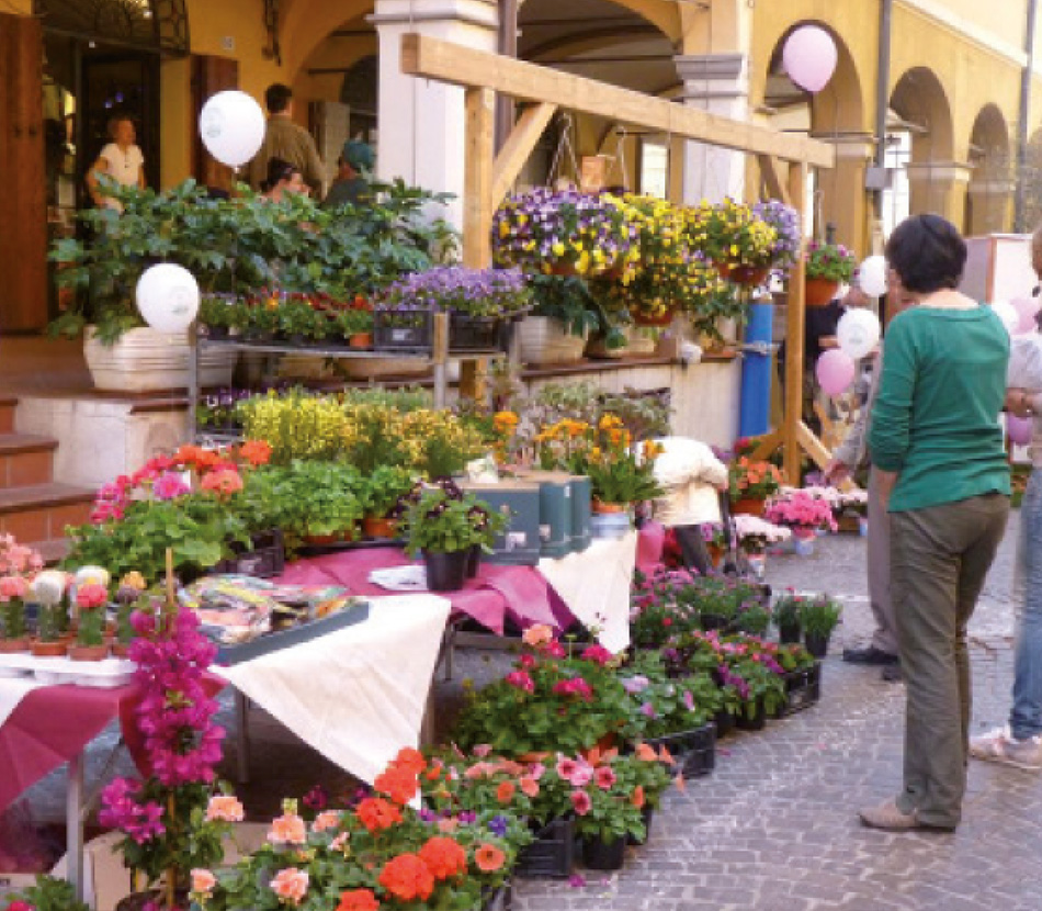 Feste dei fiori 2018