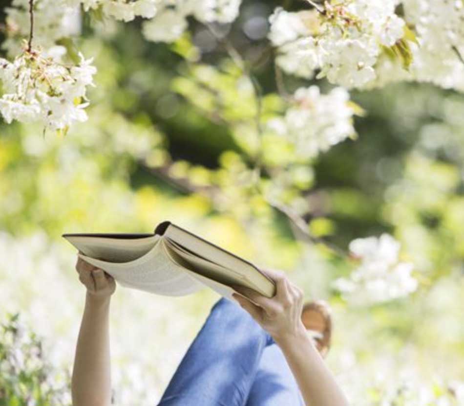 Un libro fa primavera