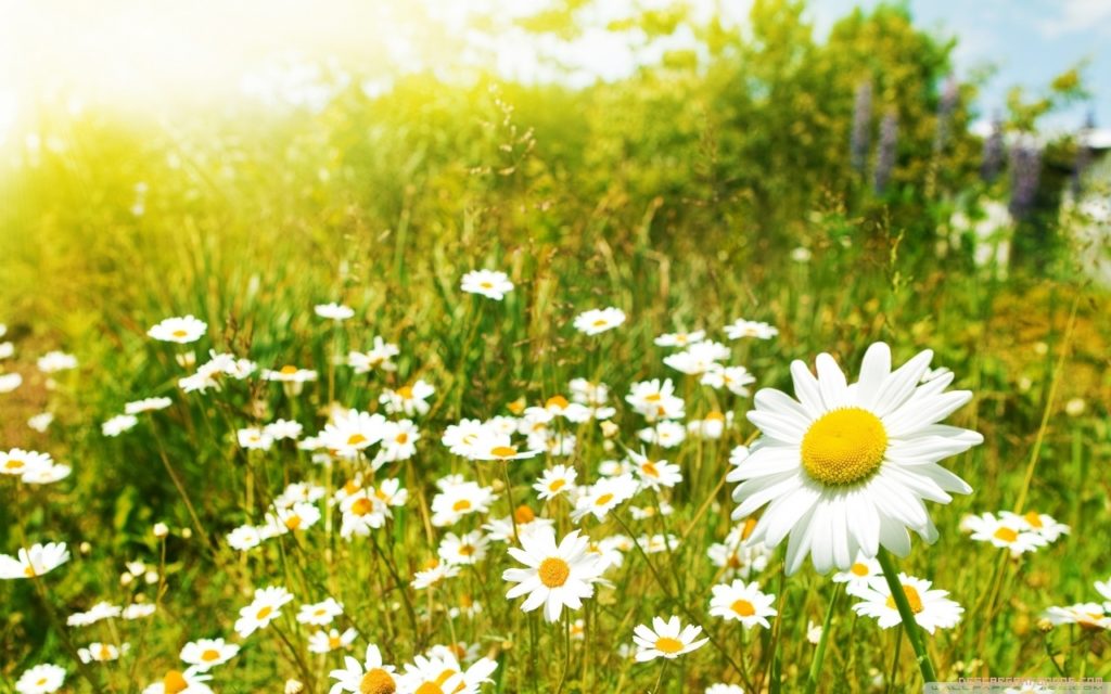 Festa di Primavera