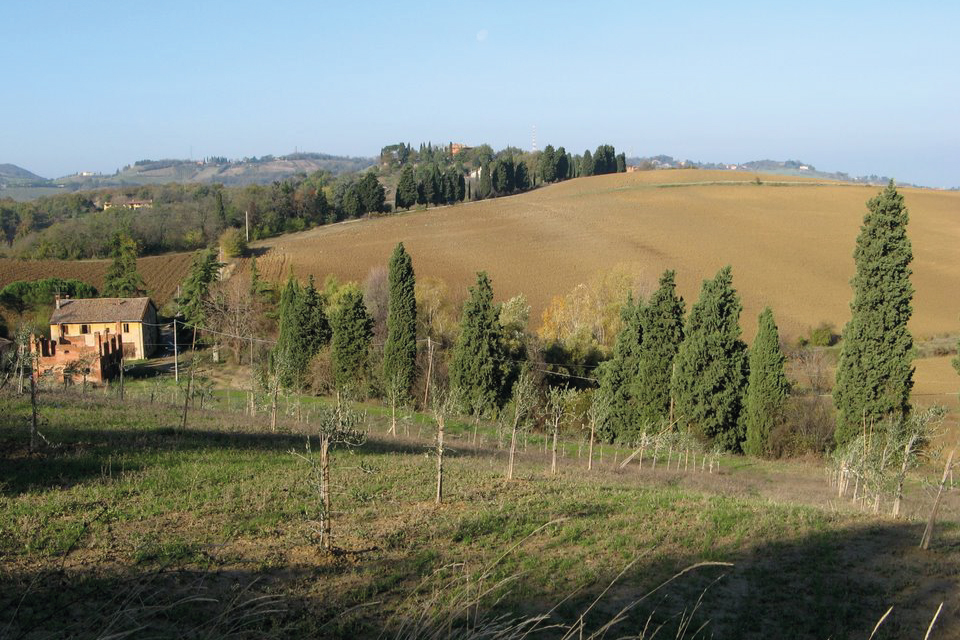 Parco-dei-gessi