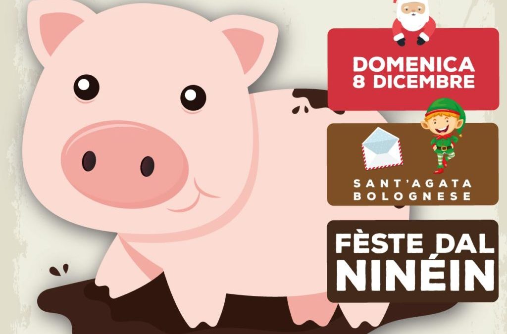 Festa del ninen