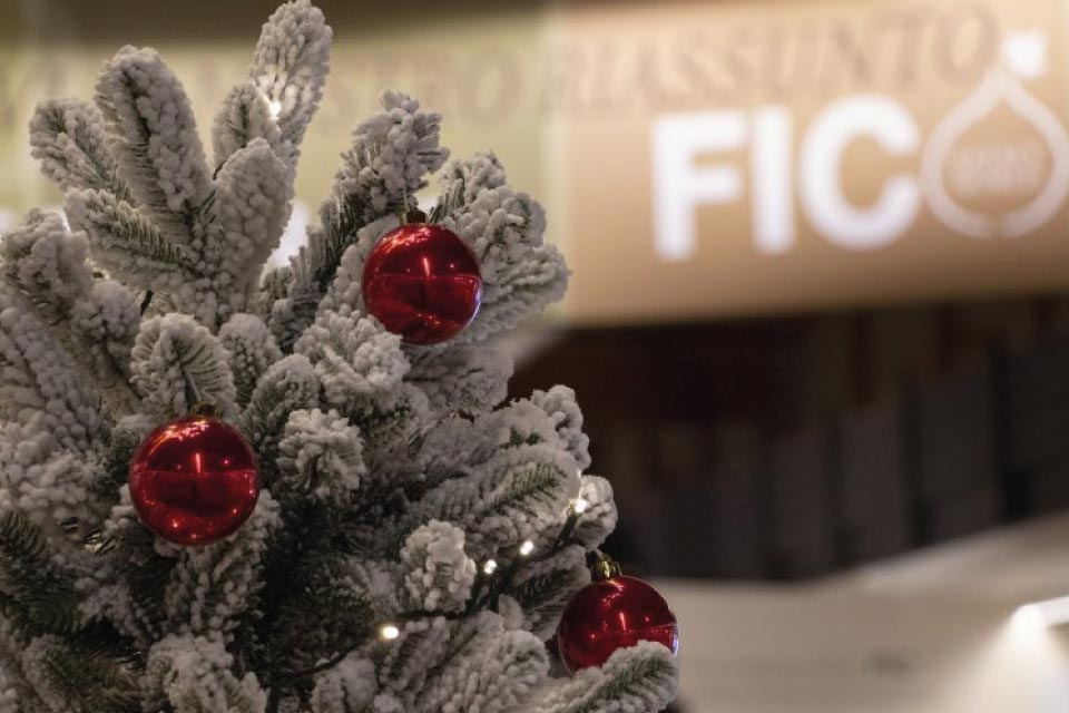 Mercatini di Natale a Fico