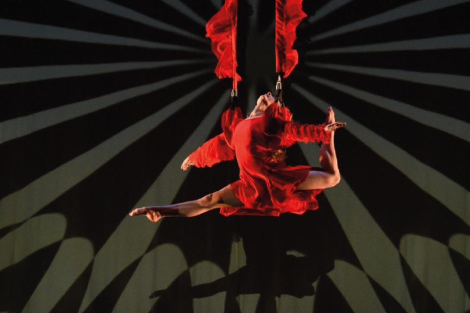 Momix in Alice