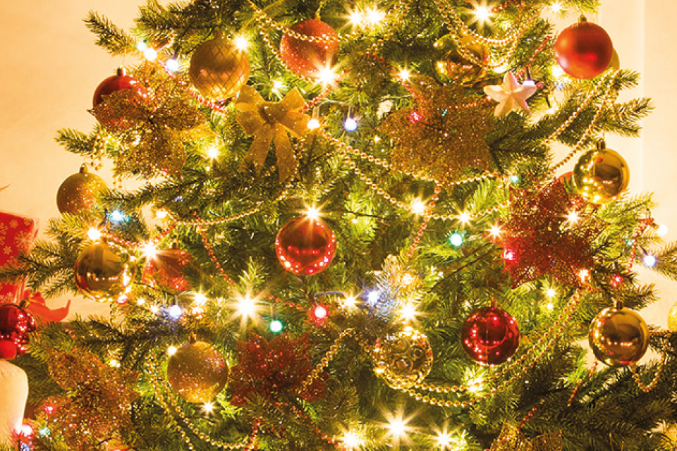 Natale a Granarolo
