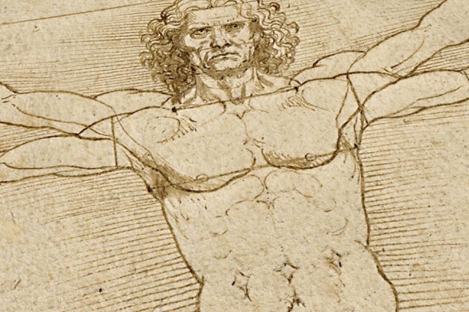 Leonardo anatomia dei disegni