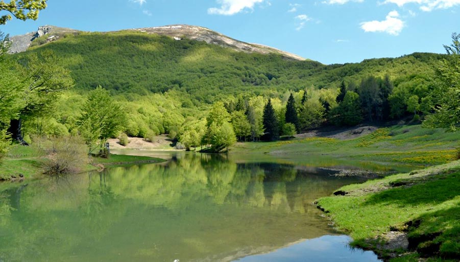 L’Appennino Bolognese si Prepara ad Accogliere i Visitatori per una Vacanza Sicura