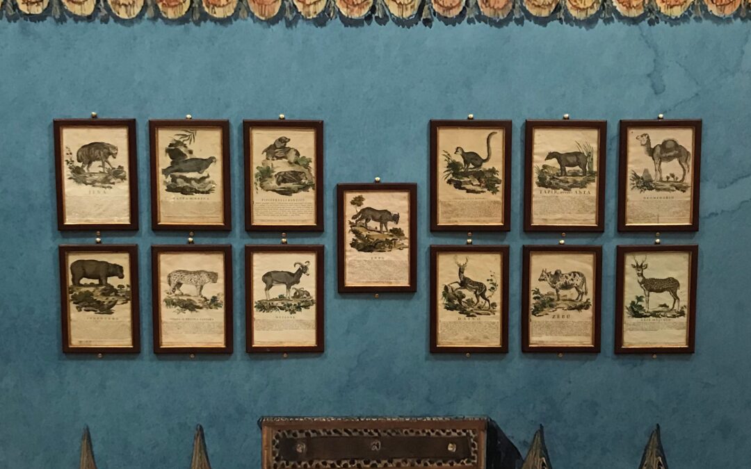 “Zoo di Carta”