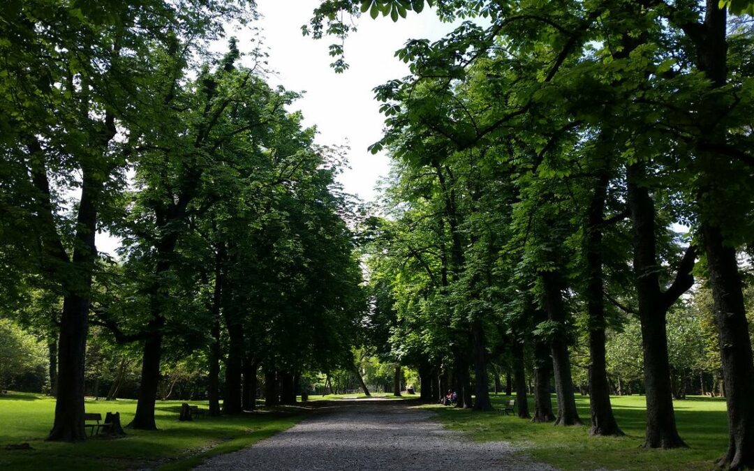 “Voci e natura nella notte” al Parco della Chiusa