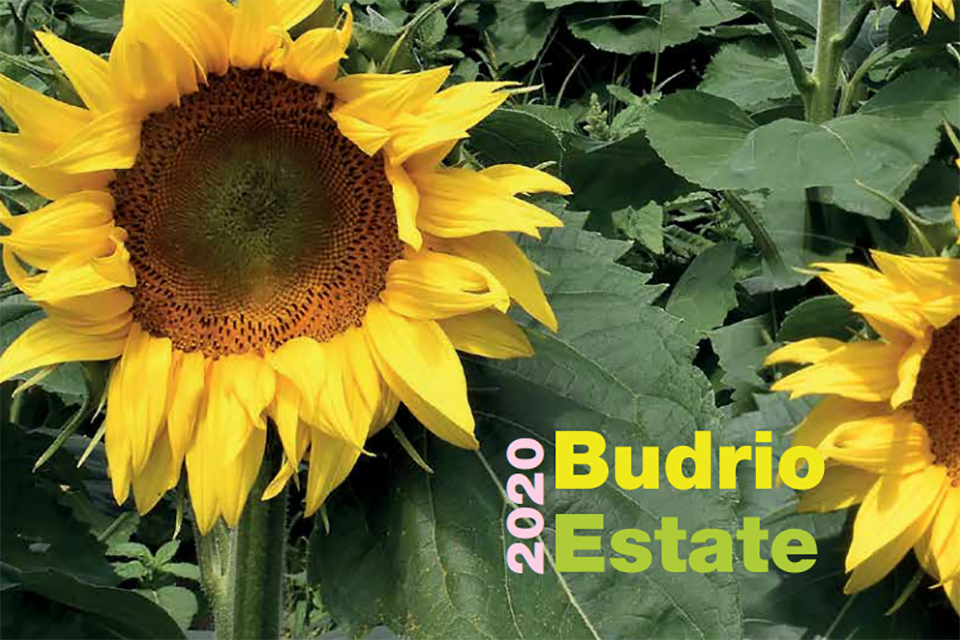 Budrio Estate 2020