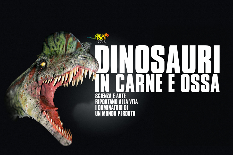 Dinotour al tramonto