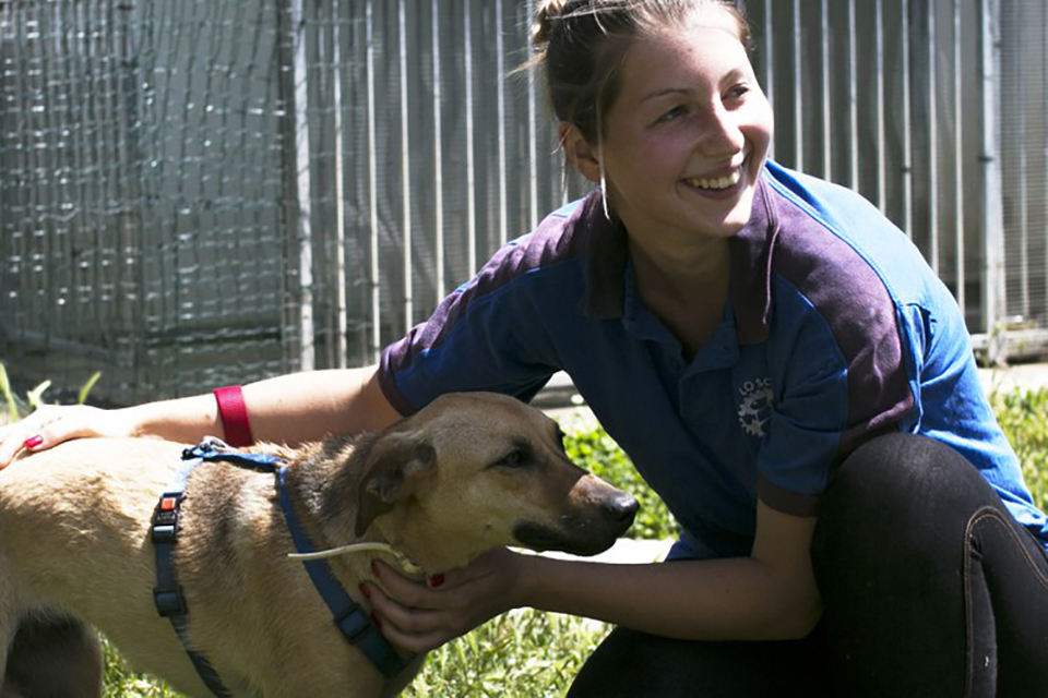 Animal Point, a San Lazzaro uno sportello a quattro zampe