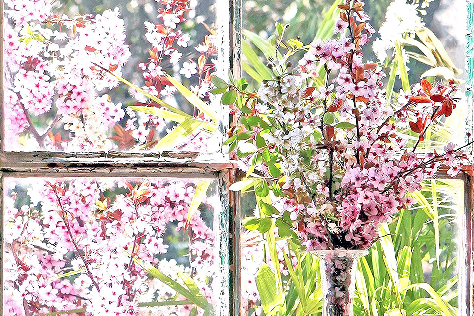 Oltre il giardino
