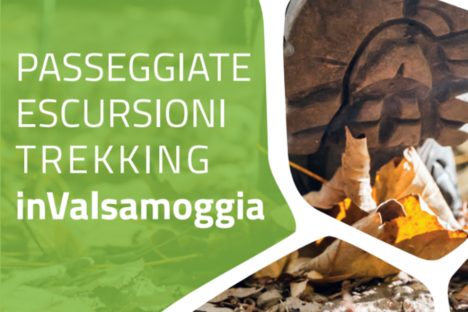 Trekking in Valsamoggia