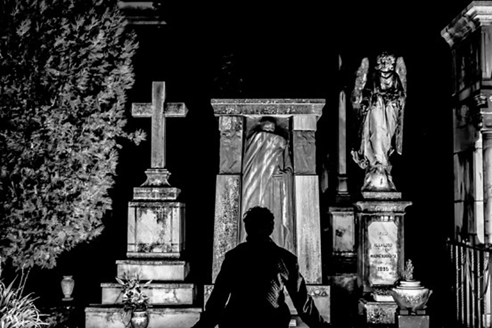Il teschio e la farfalla