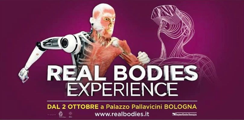 Real Bodies Experience