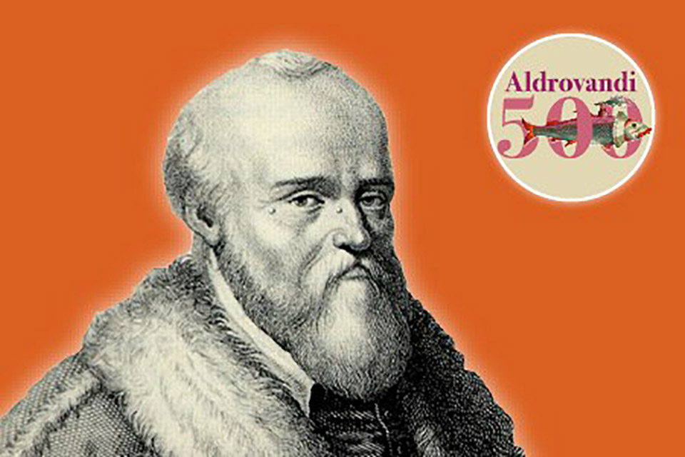 Un viandante di nome Ulisse