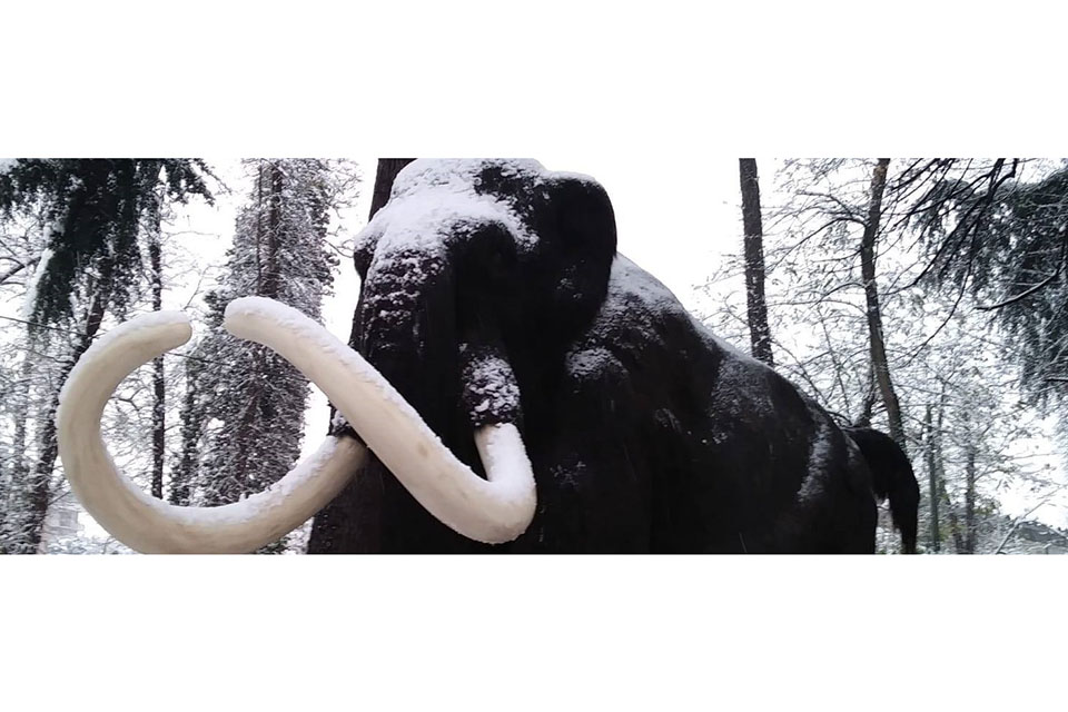 Un mistero glaciale
