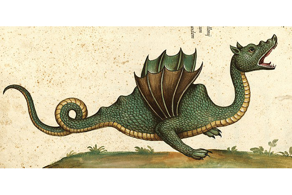 Ritratti di animali