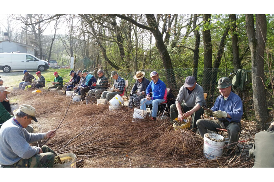 “Salviamo la montagna”: ritrovo per la preparazione delle talee