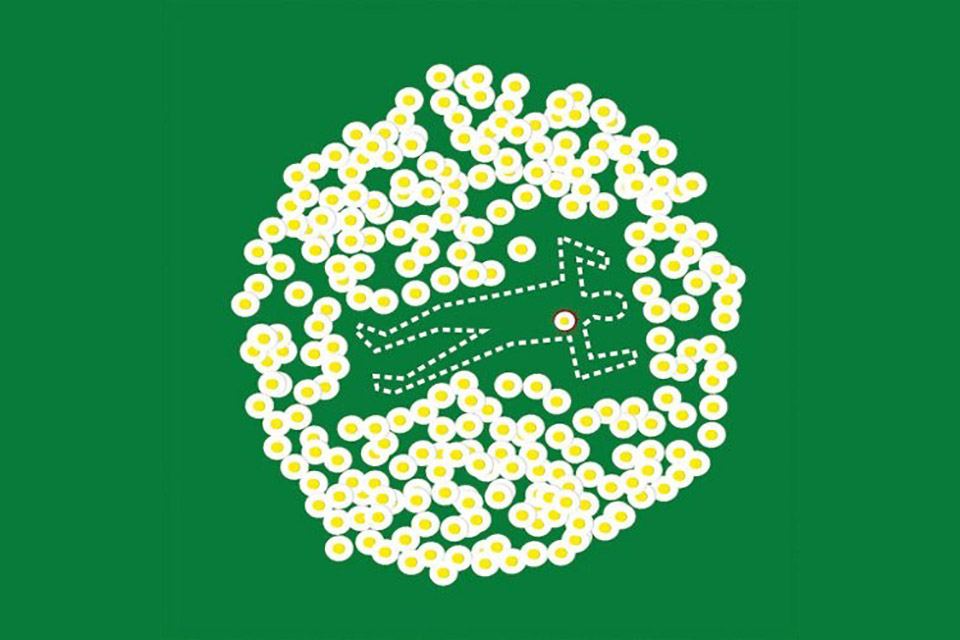 Il Circolo del giallo