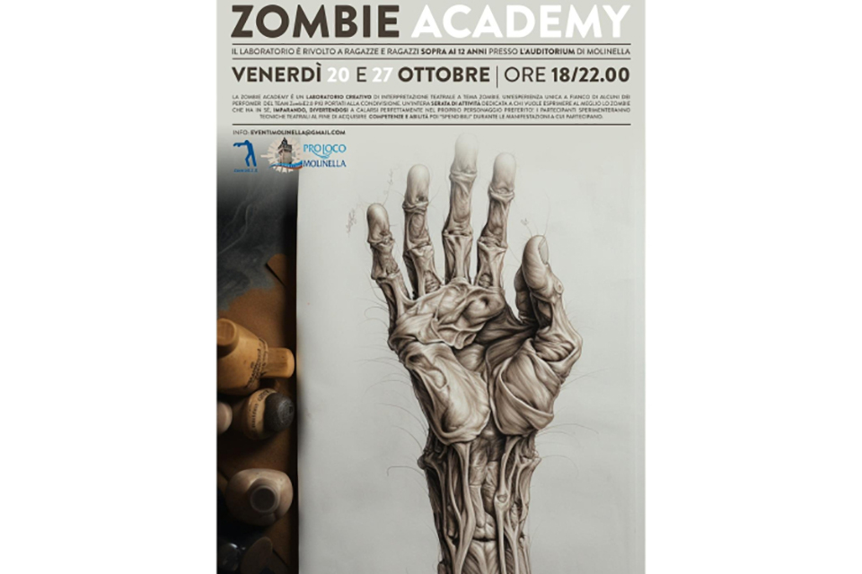 Zombie Academy