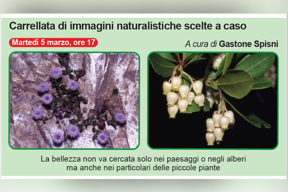 Ambiente e natura