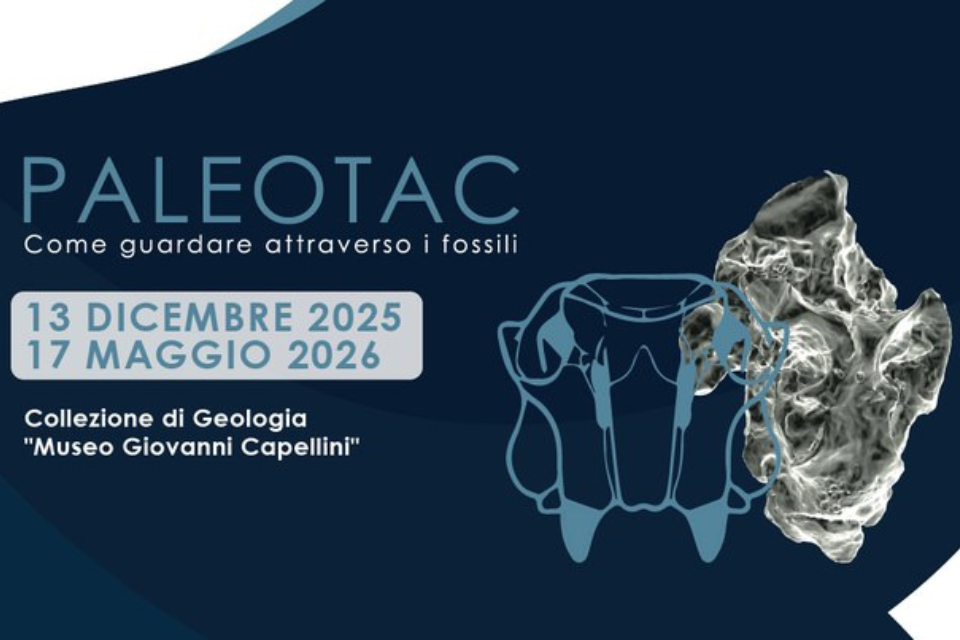 PALEOTAC, come guardare attraverso i fossili