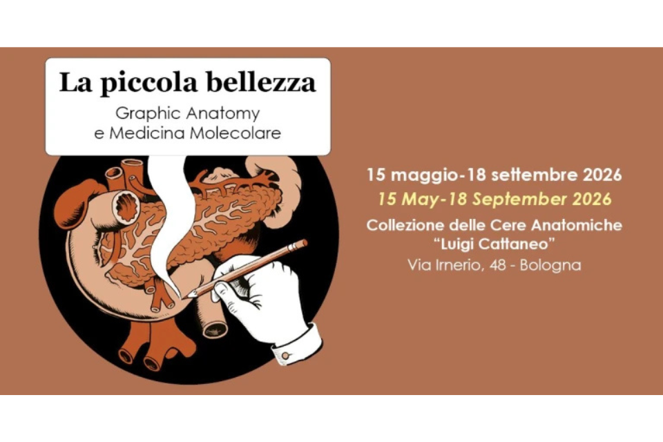 La piccola bellezza
